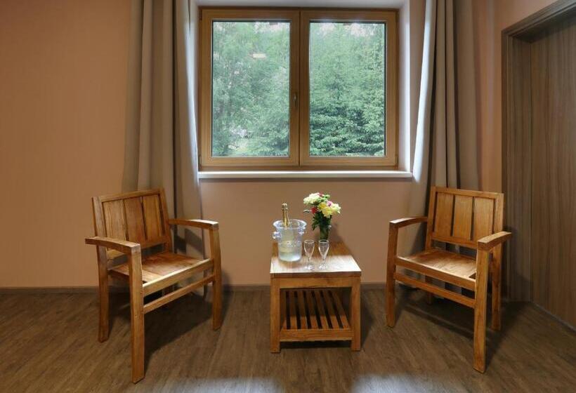 Standard-studio, Obzor