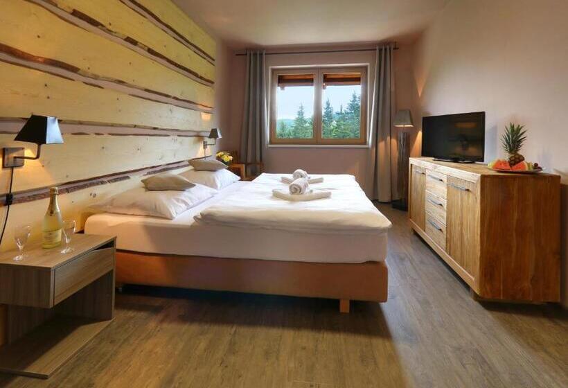 Standard-huone, Obzor