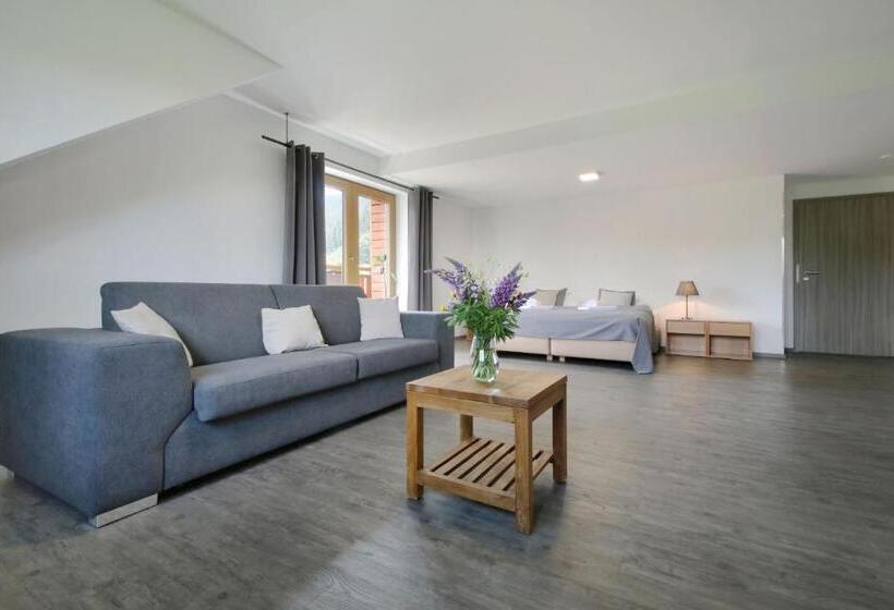 Standard-studio Parveke, Obzor