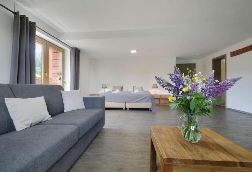Standard-studio Parveke, Obzor
