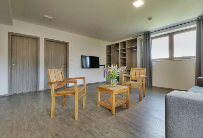 Standard-studio Parveke, Obzor