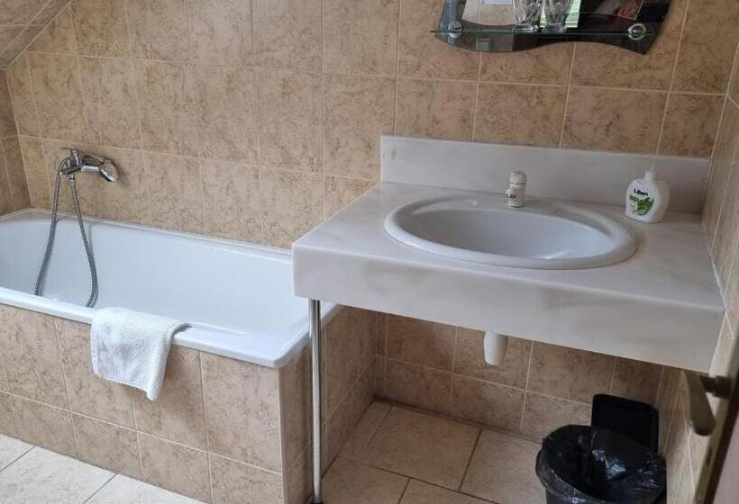 家庭套房, Penzion U Dobrého Lva