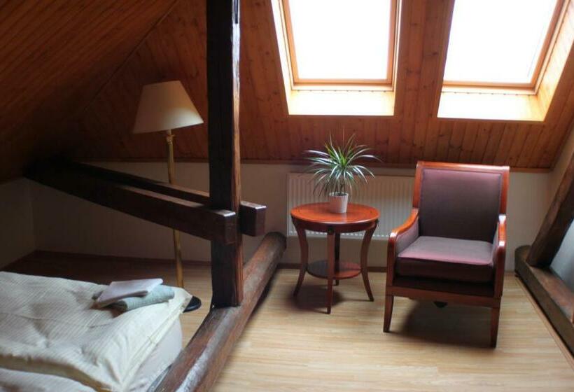 豪华房间, Penzion U Dobrého Lva