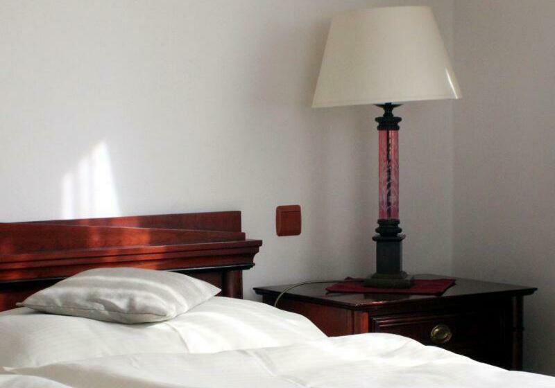 豪华房间, Penzion U Dobrého Lva