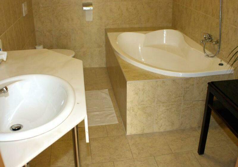 豪华房间, Penzion U Dobrého Lva