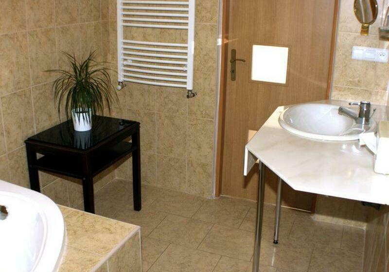 豪华房间, Penzion U Dobrého Lva