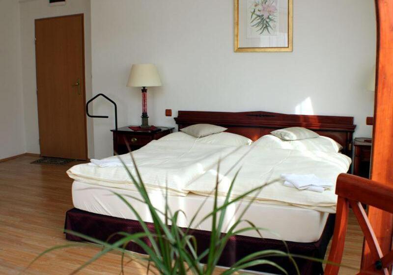 豪华房间, Penzion U Dobrého Lva