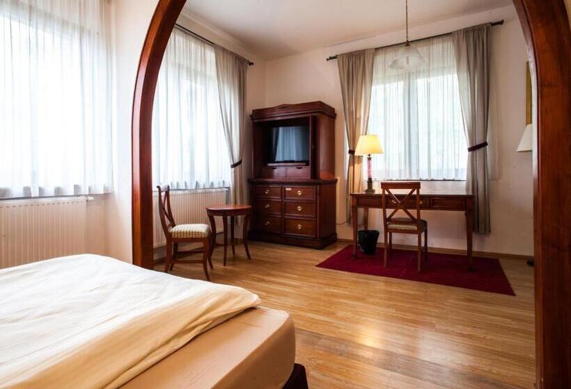 豪华房间, Penzion U Dobrého Lva