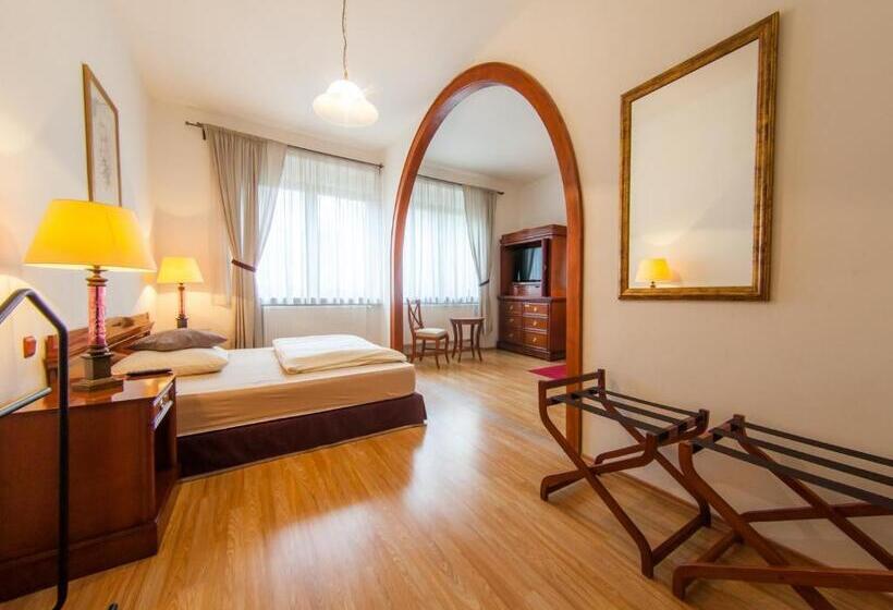 豪华房间, Penzion U Dobrého Lva