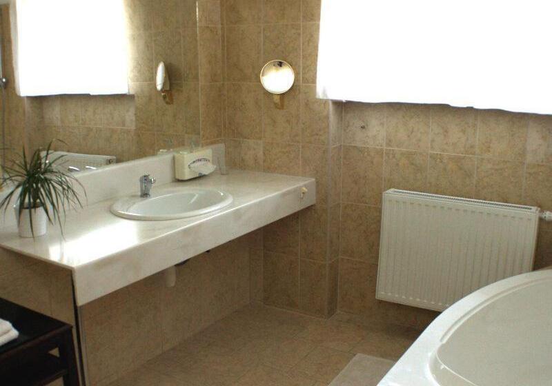 标准间, Penzion U Dobrého Lva