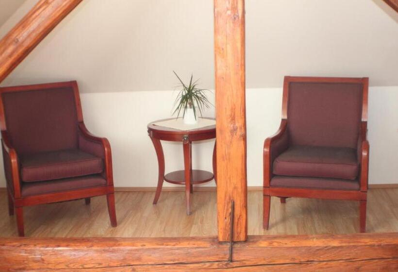 标准间, Penzion U Dobrého Lva