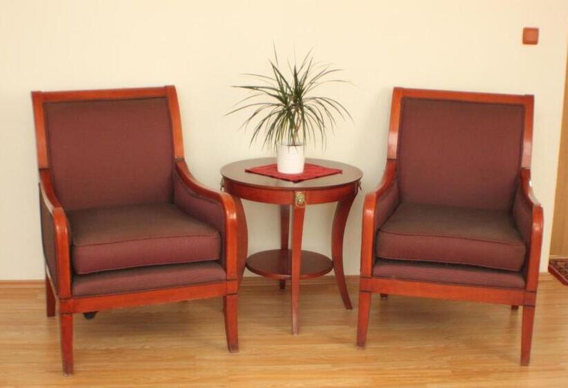 豪华房间, Penzion U Dobrého Lva