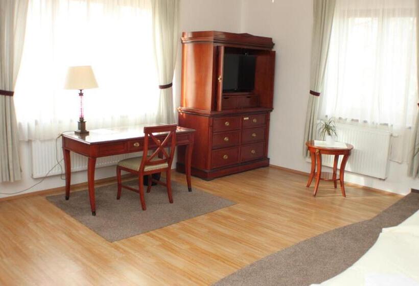 豪华房间, Penzion U Dobrého Lva