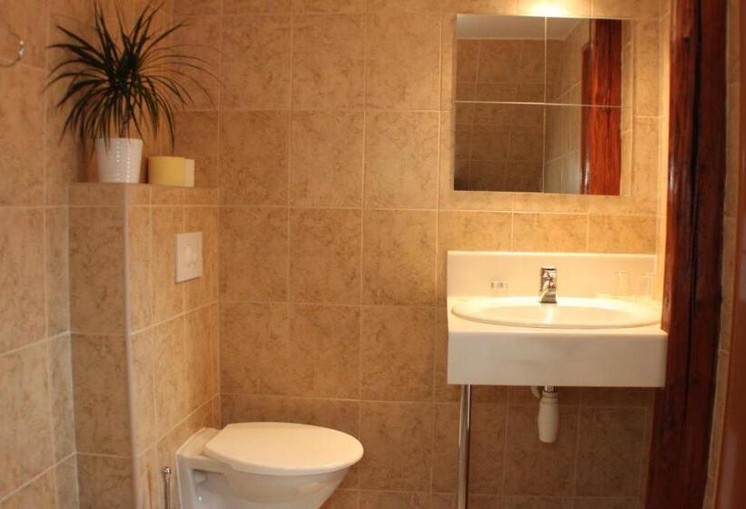 标准间, Penzion U Dobrého Lva