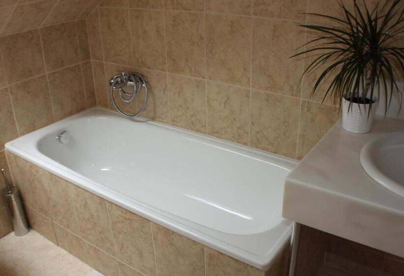 豪华房间, Penzion U Dobrého Lva