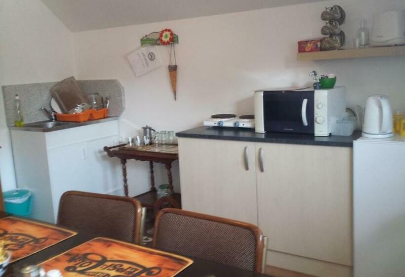 חדר סטנדרט, Hanna Szobái