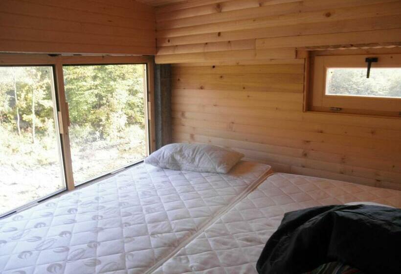 اتاق استاندارد, Dzajicaa Buk Rooms   Noahs Ark