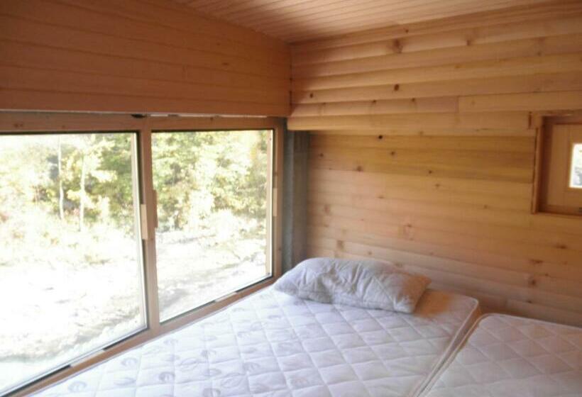 اتاق استاندارد, Dzajicaa Buk Rooms   Noahs Ark