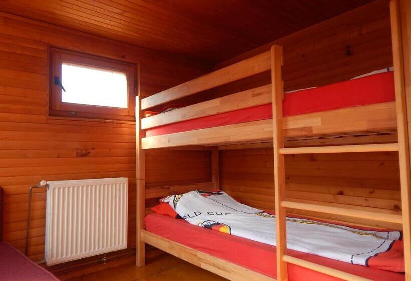 اتاق ساده سه‌ نفره, Dzajicaa Buk Rooms   Noahs Ark