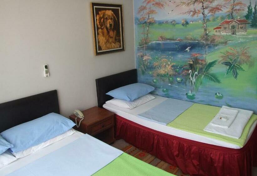 غرفة قياسية, Mudanya