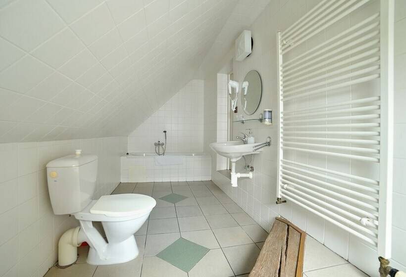 标准间, Pivovarský Dvůr Lipan