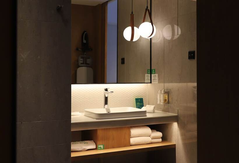 适合残疾人使用的标准间, Holiday Inn Guangzhou South Lake