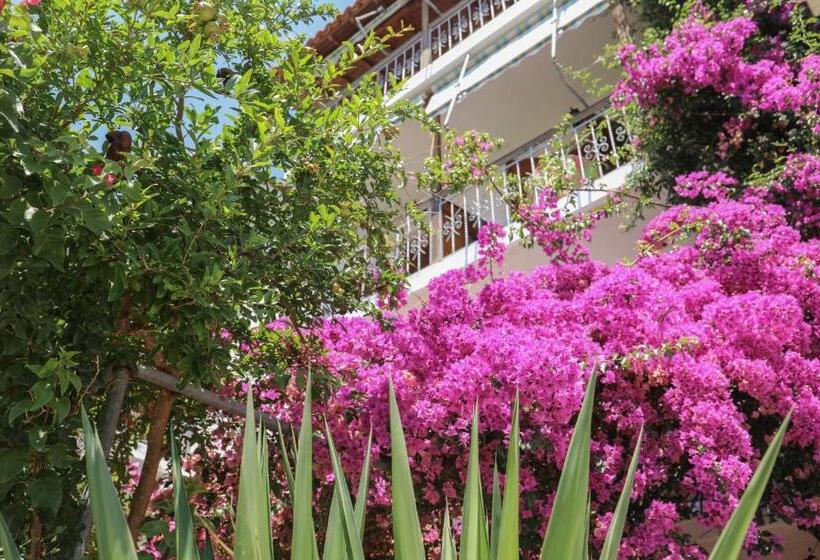 استودیوی استاندارد با چشمانداز شهر, Vaya Zorba Studios