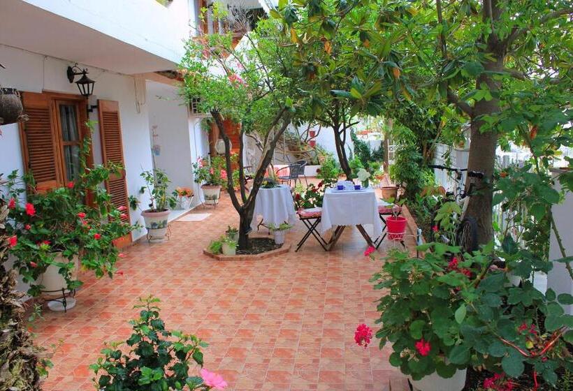 آپارتمان 2 خوابه, Vaya Zorba Studios