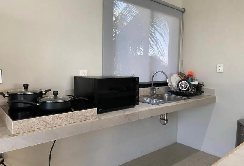 آپارتمان 1 خوابه با چشم‌انداز دریا, Cuxos Hotel Beachfront