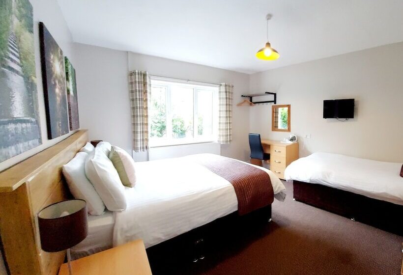 Номер Стандарт Трехместный, Grains Bar