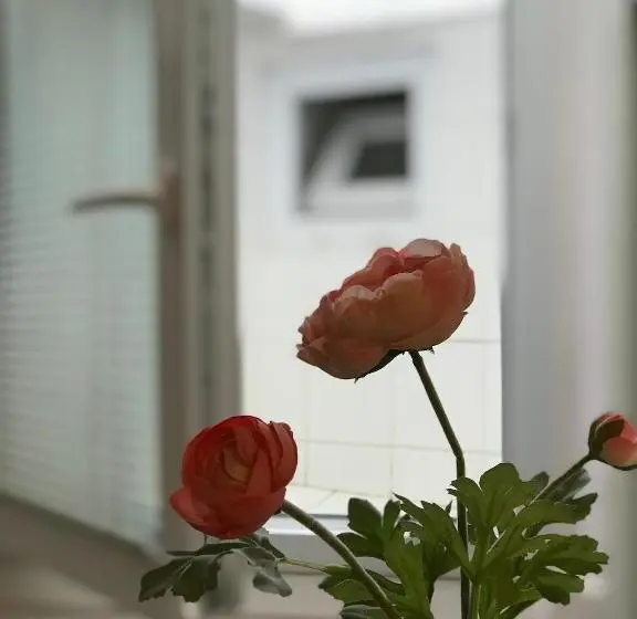 Economy Quadruple Room, Pension Crhan