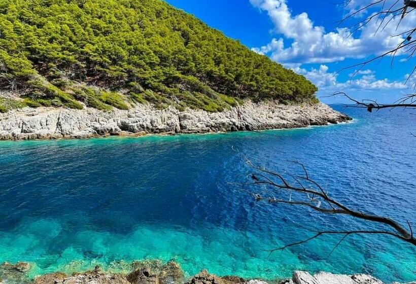 Triple Room Sea View, Apartments Franka Saplunara