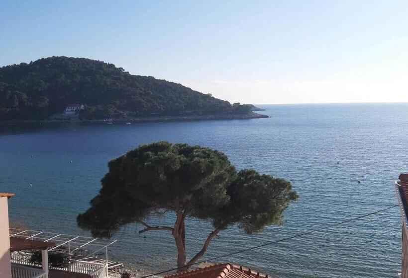 Triple Room Sea View, Apartments Franka Saplunara