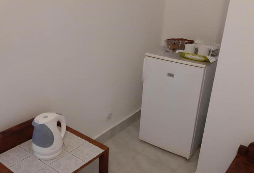 חדר סטנדרט נוף לים עם טרסה, Apartments Franka Saplunara