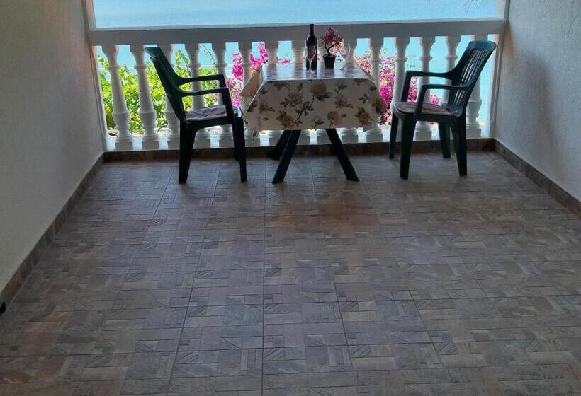 חדר סטנדרט נוף לים עם טרסה, Apartments Franka Saplunara