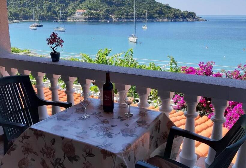 חדר סטנדרט נוף לים עם טרסה, Apartments Franka Saplunara