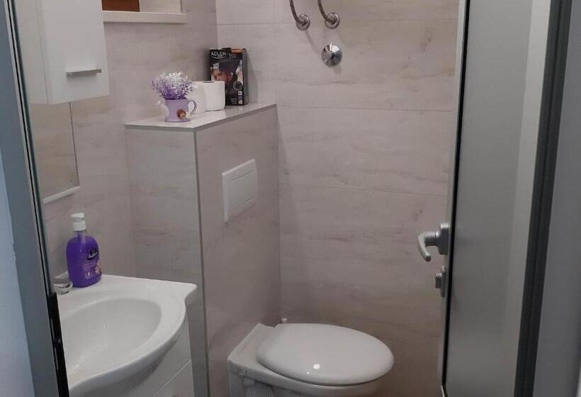 חדר סטנדרט נוף לים עם טרסה, Apartments Franka Saplunara