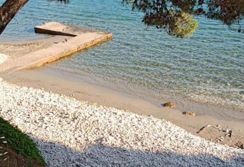 דירת חדר שינה עם טרסה ונוף לים, Apartments Franka Saplunara