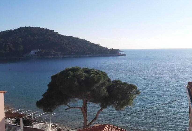 דירת חדר שינה עם טרסה ונוף לים, Apartments Franka Saplunara