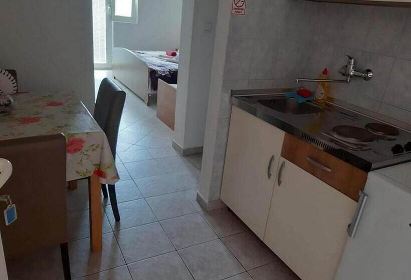 דירת חדר שינה עם טרסה ונוף לים, Apartments Franka Saplunara