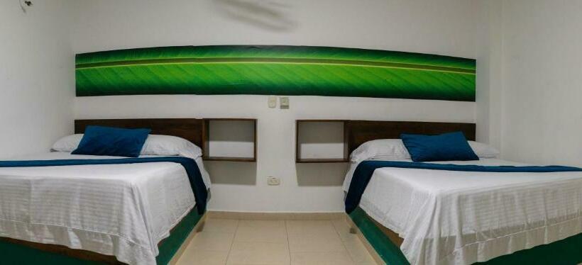 スタンダードルーム, Plataneras Confort