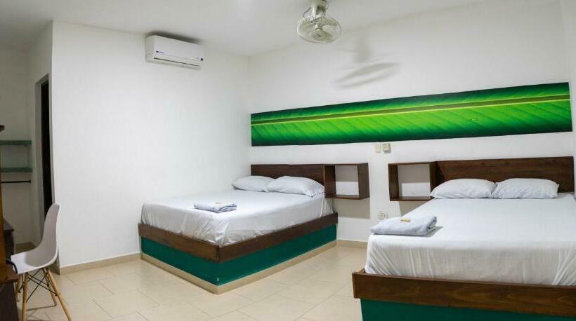 スタンダードルーム, Plataneras Confort