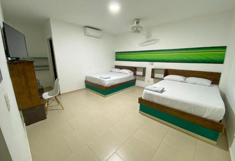 スタンダードルーム, Plataneras Confort