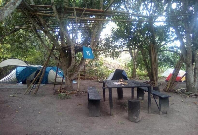 Tente Standard, Hospedaje Eden