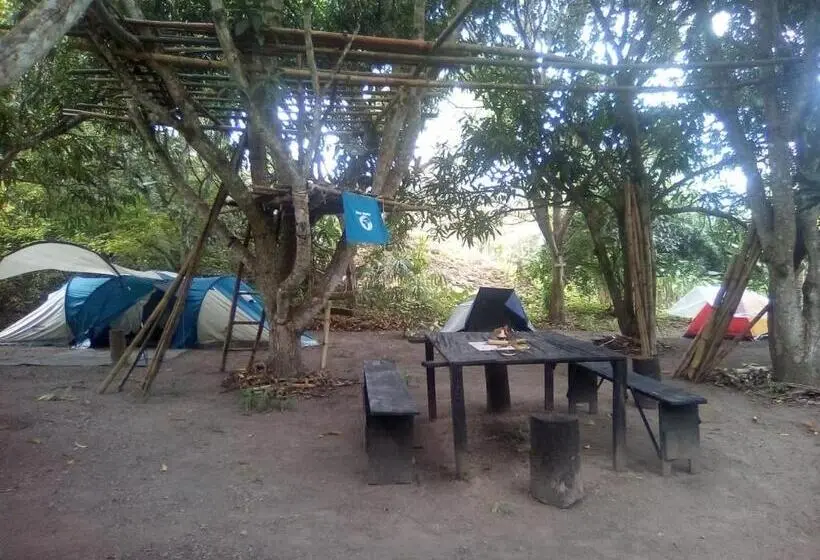 Standard Tent, Hospedaje Eden