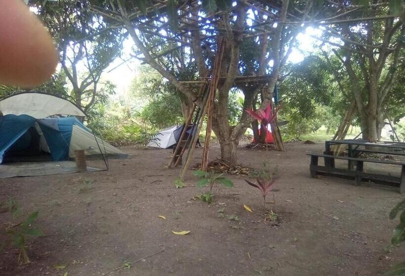 Standard Tent, Hospedaje Eden