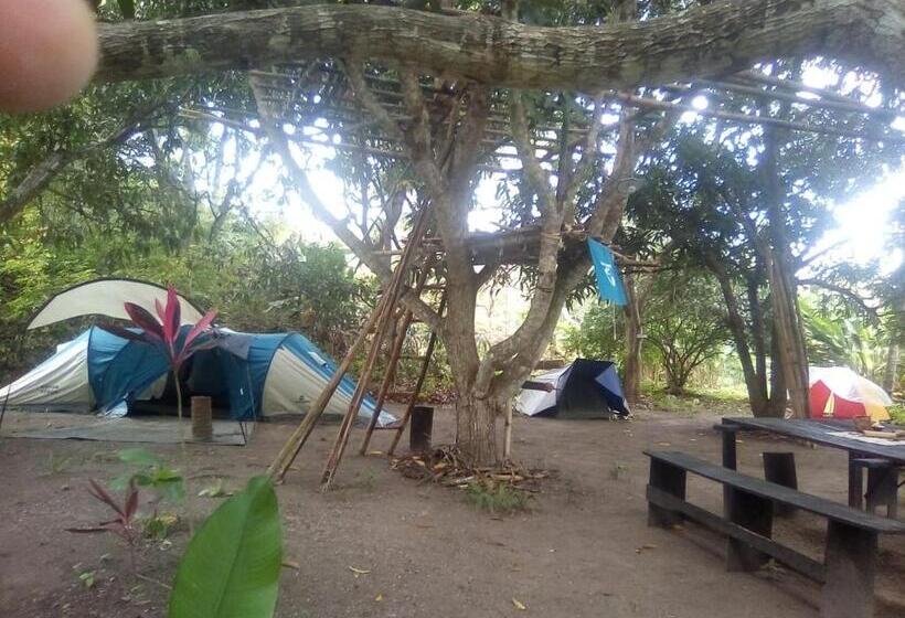 Tente Standard, Hospedaje Eden