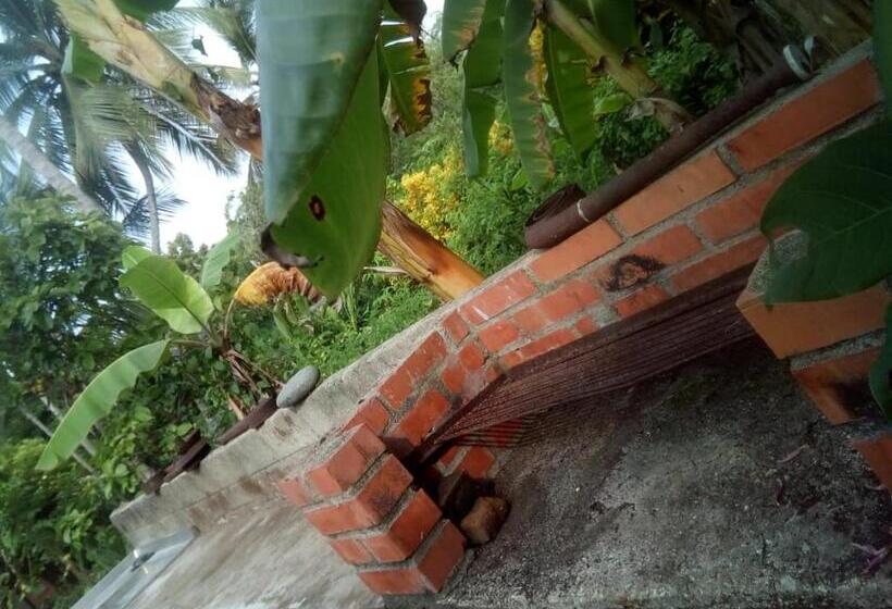 Tente Standard, Hospedaje Eden