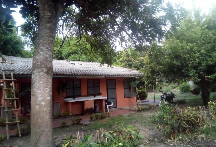 Tente Standard, Hospedaje Eden