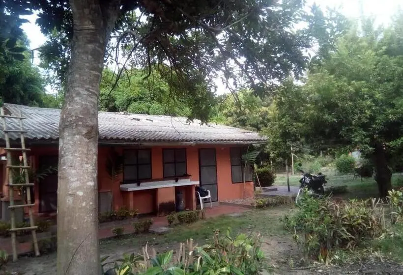 Standard Tent, Hospedaje Eden
